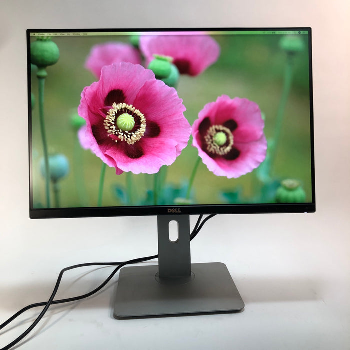 24" Dell UltraSharp U2415 (1080p) WUXGA IPS LED-Backlit Monitor