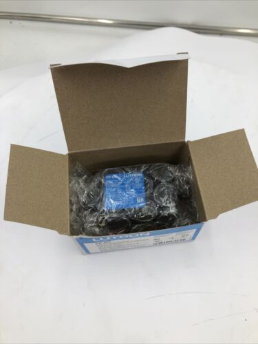 Lutron PP-DV Dual Voltage Power Pack - NEW