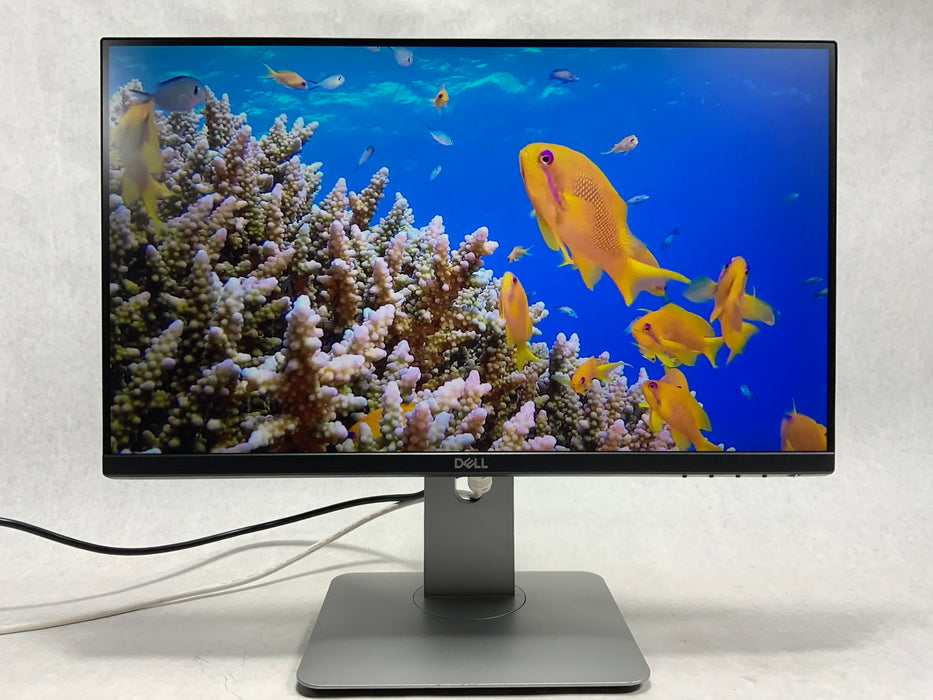 22" Dell P2219H (1080p) FHD IPS LED-backlit LCD Monitor