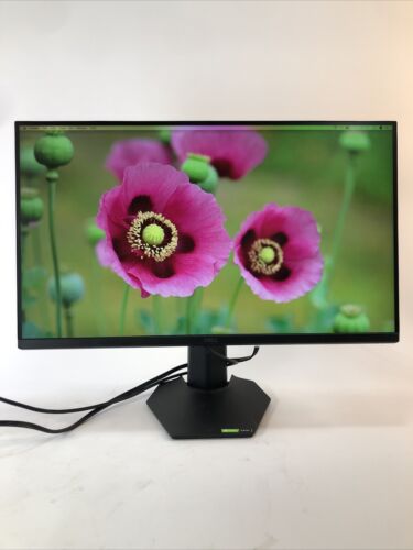 27" Dell G2722HS IPS Full HD (1080p) LED LCD 165Hz Gaming Monitor